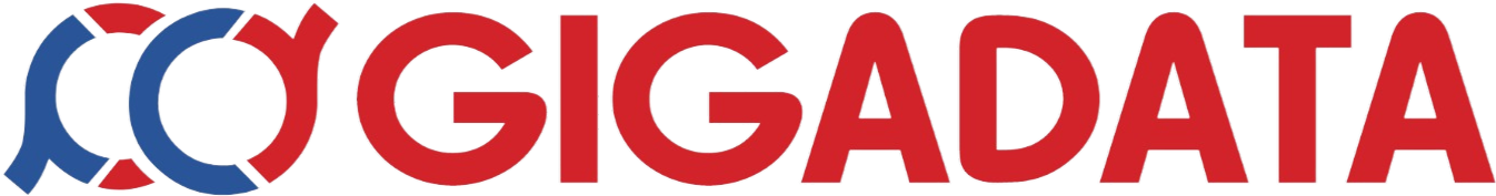 Gigadata Information Technology